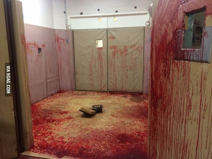 A horse had a nose bleed and it looks like something out of a horror movie.