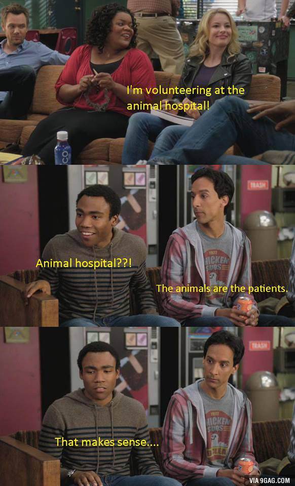 Animal Hospital
