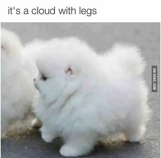 Cutest cloud