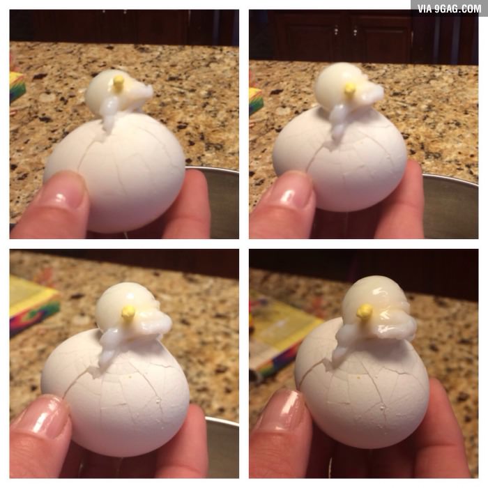 Egg cracked while boiling-- forms a nearly perfect chick