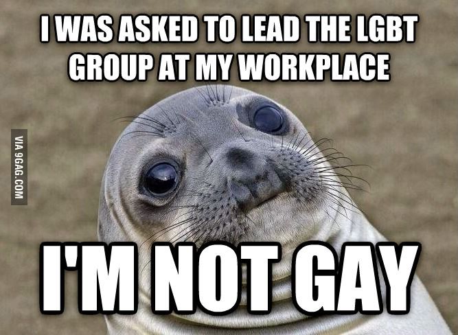 I&#039;m not gay