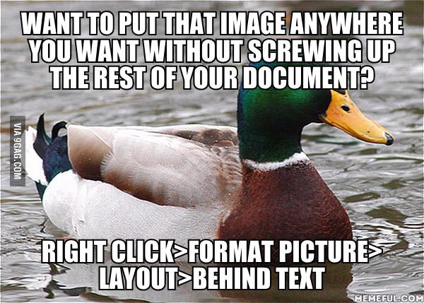 Microsoft Word is now my b*itch.