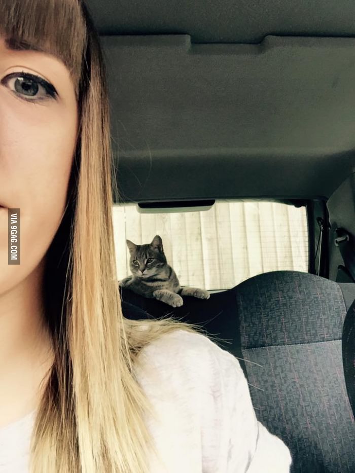 She does not own a cat...