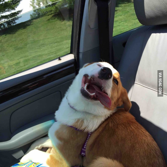 She will always be my favorite passenger