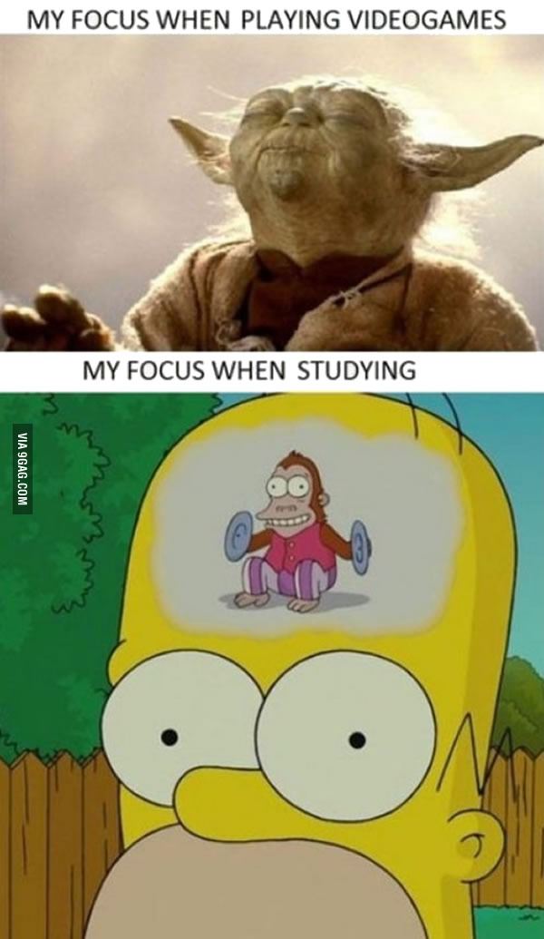 This is what happens when summer vacation starts