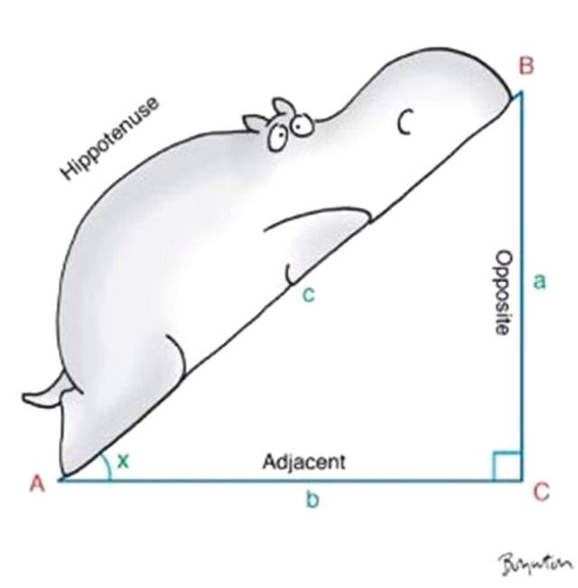 &quot;Hippotenuse&quot;