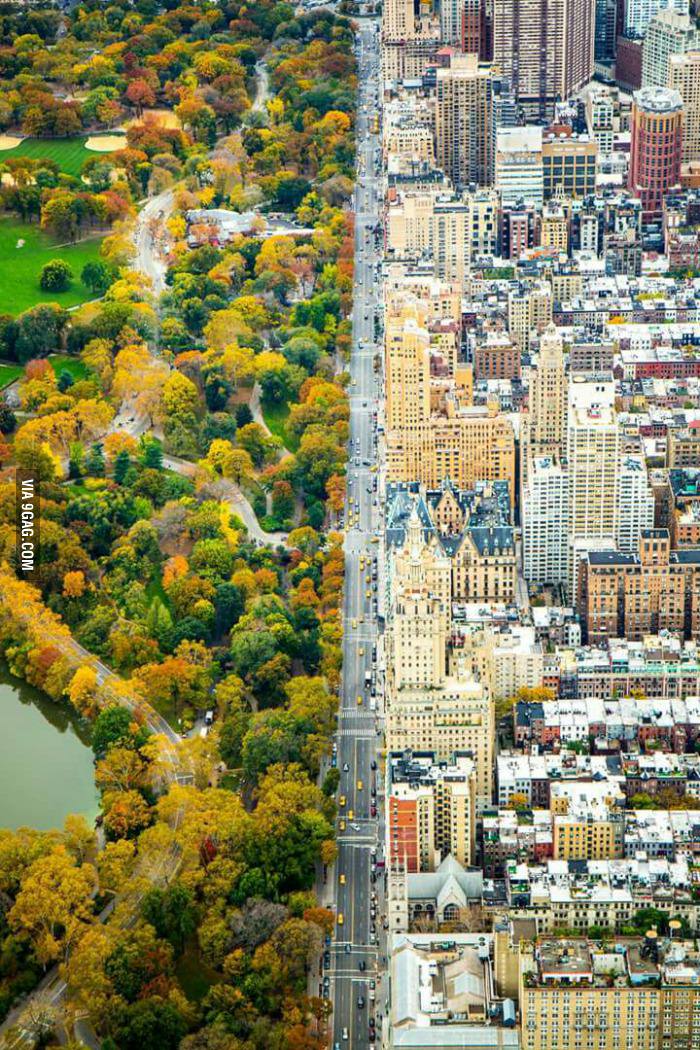 Contrast is strong with this one