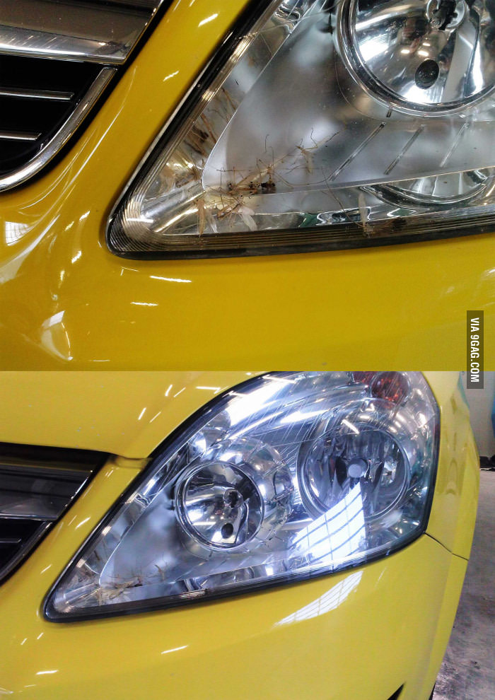 Can someone explain to me how Mosquitoes entering a Sealed Headlight?