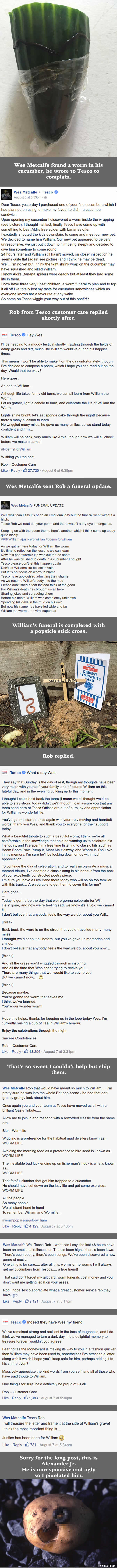 Man Finds Dead Worm In His Cucumber, Tesco Replied, Along With Brilliant Poets