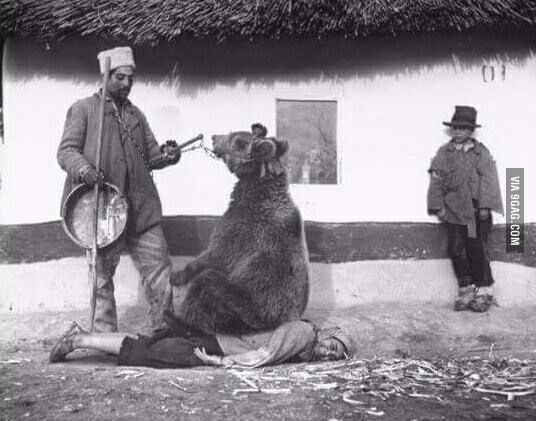 Treating back problems using a bear-Romania 1946