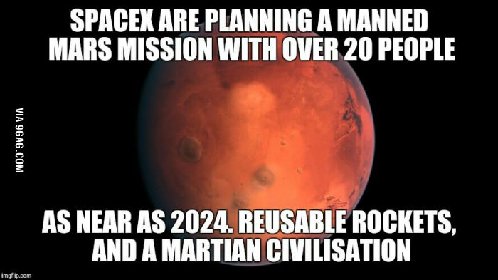 SpaceX 2024 Mars Mission