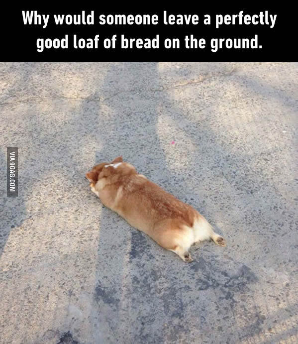 Also known as loaf bread or a potato with legs