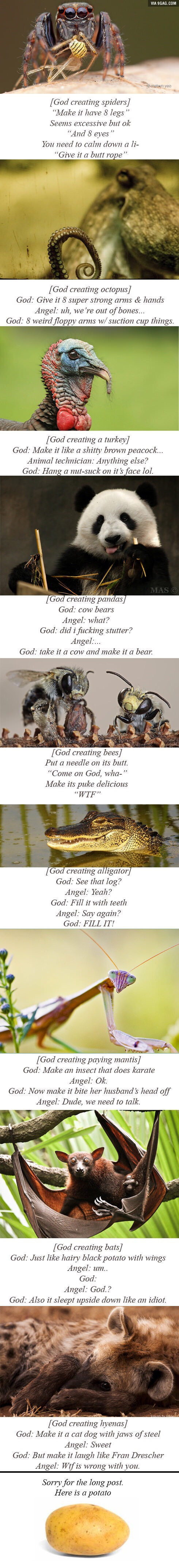 God creating animals