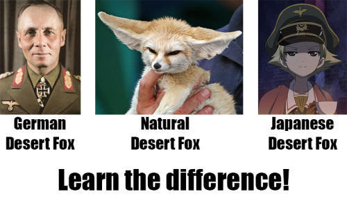 What dose the Fox say?