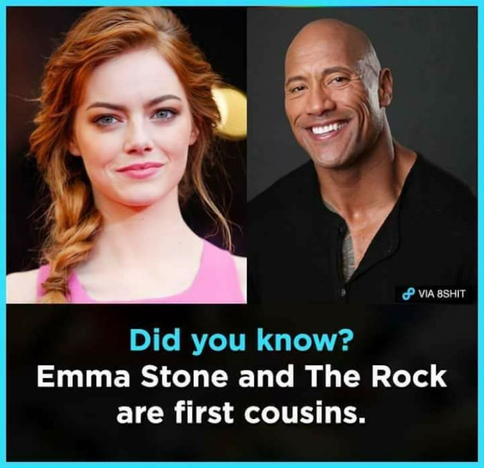 Also The Rock looks like Dwayne Johnson