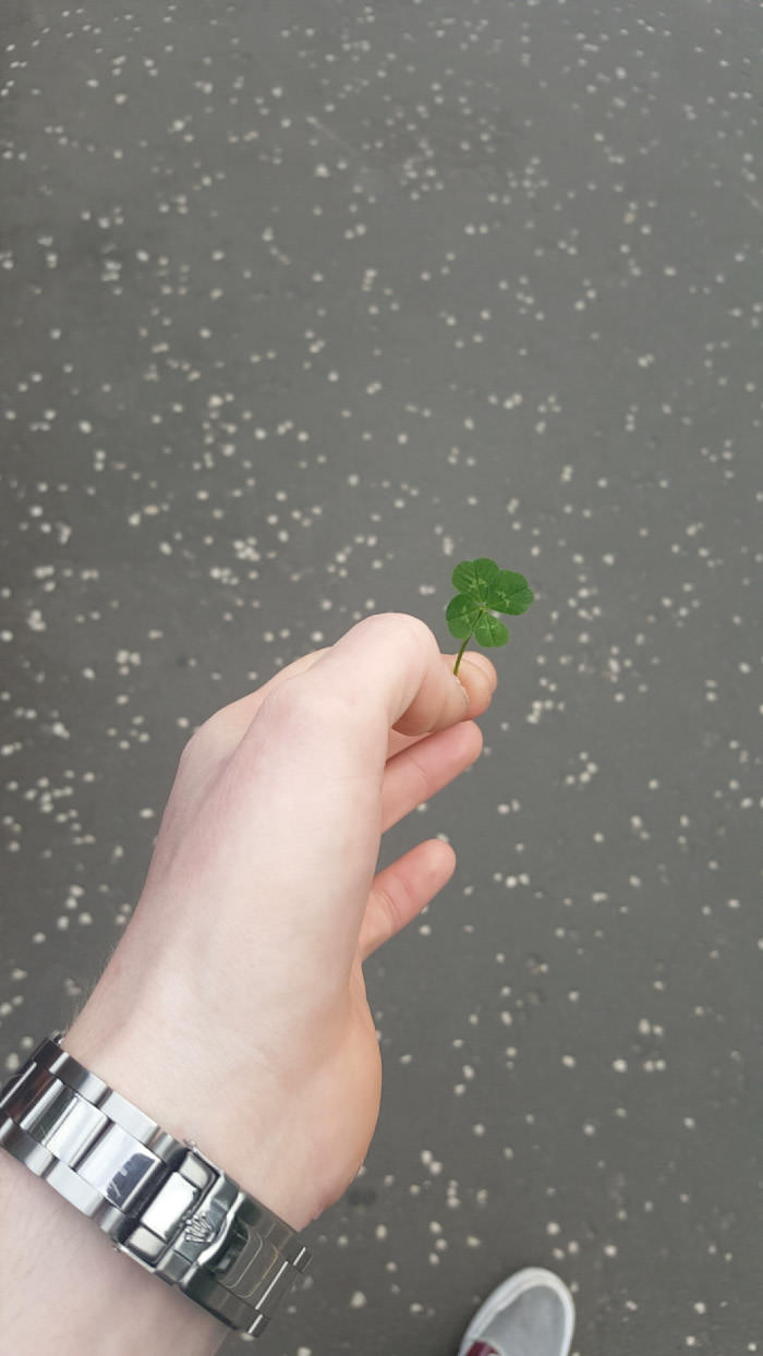 Found this four leaf clover on my way to work