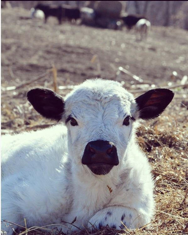 He was born to model. Such a sweet guy.