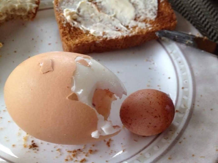 Wanted to eat a boiled egg, it had another egg inside.