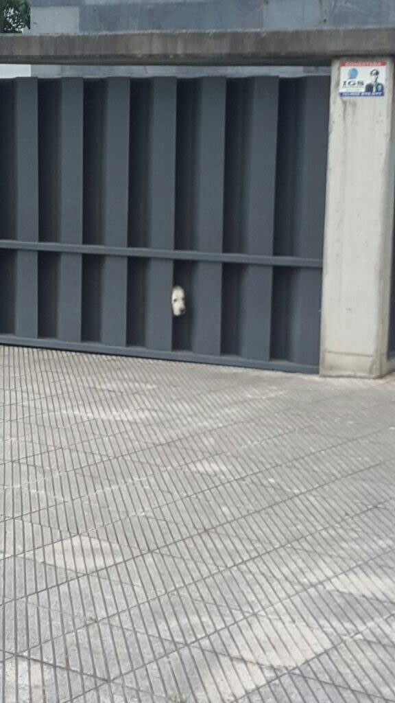 All in all you are just another bork in the wall