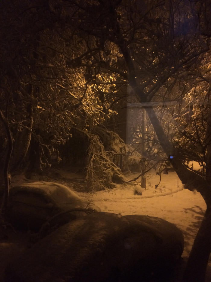 April go home, you&#039;re drunk.
