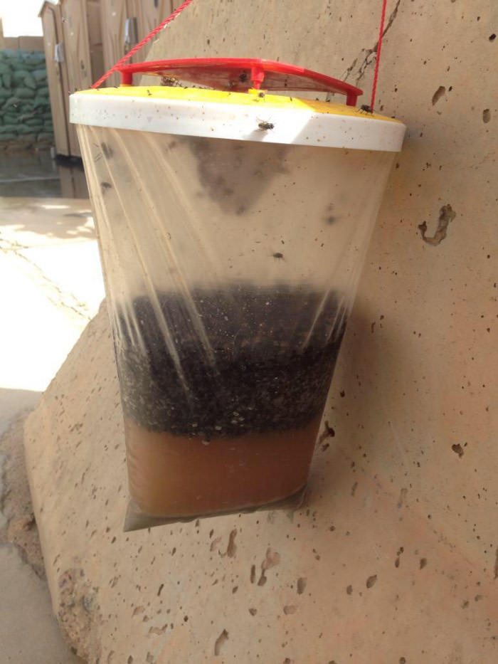 Brother is stationed in Afghanistan, he sent me this picture of a fly trap on base.