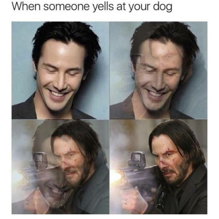 Don&#039;t yell at my gudboi