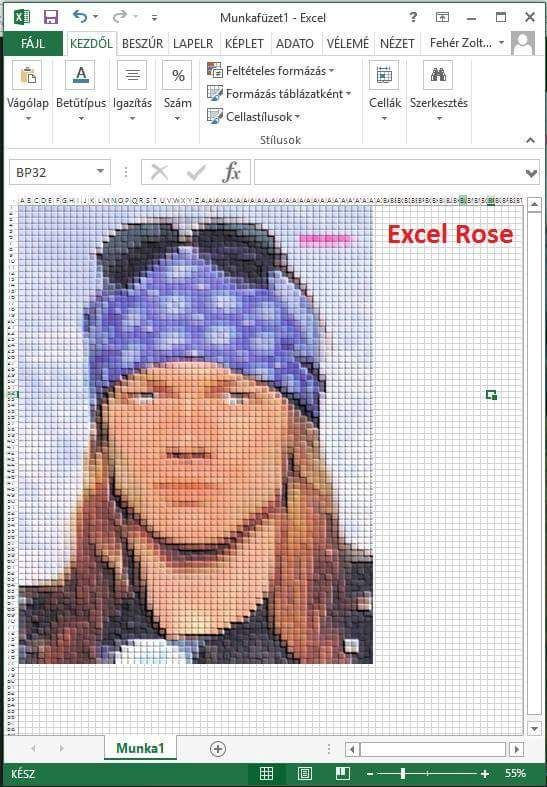 Excel Rose