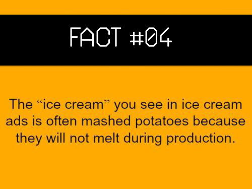 Fact #04