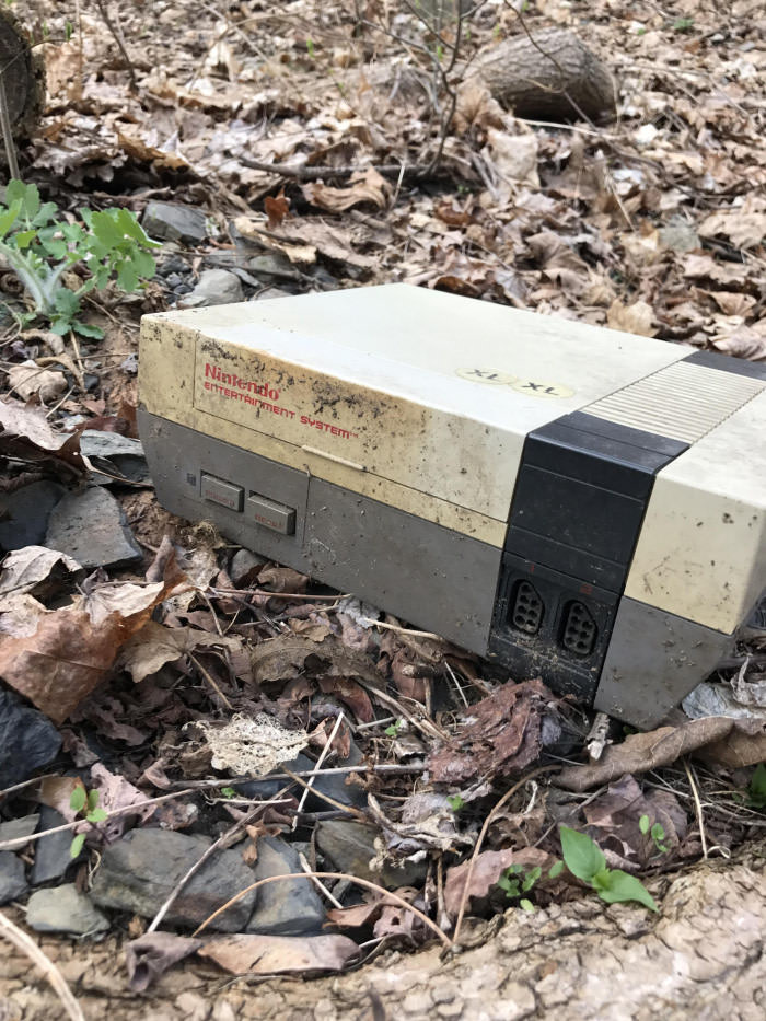 Found in the woods