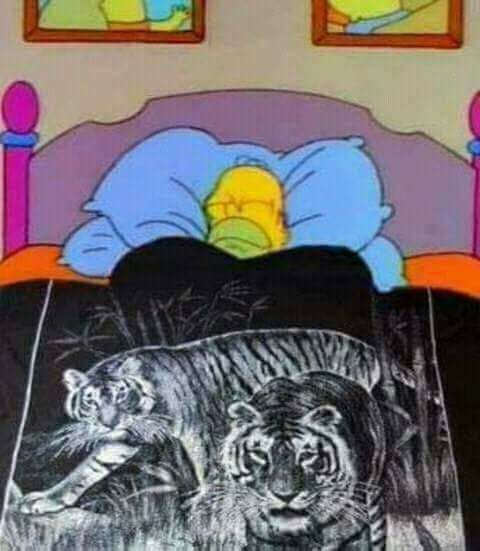 Have you ever seen these on a real bed?
