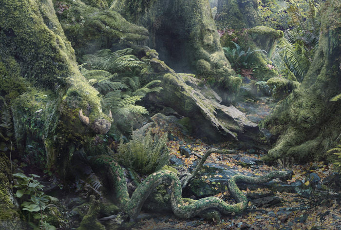 How many animals do you see?