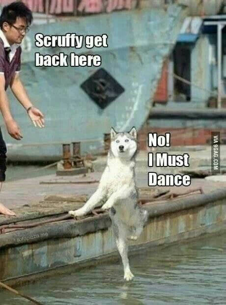 I must dance...