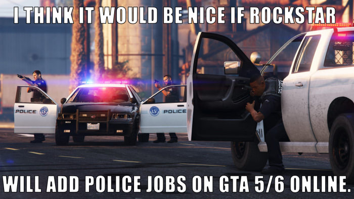 I think it will add a lot to the online gameplay if some players are cops