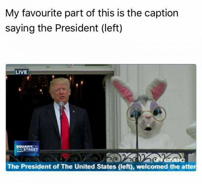 I would vote for the bunny