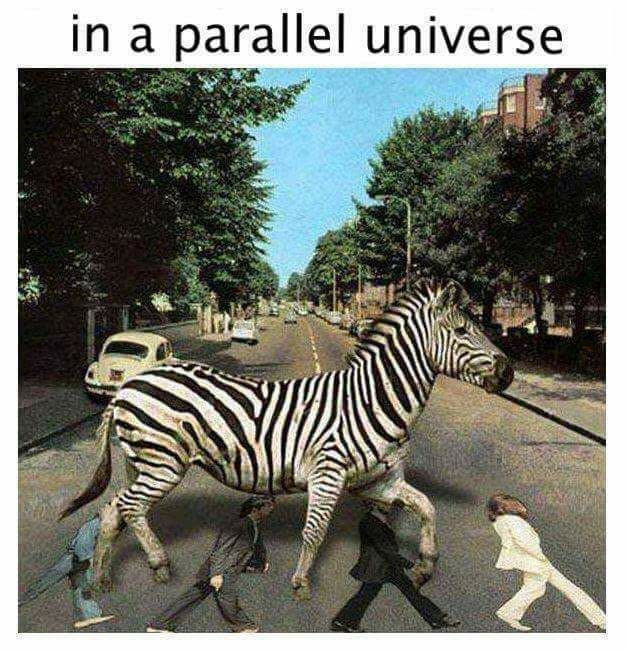 In a parallel universe