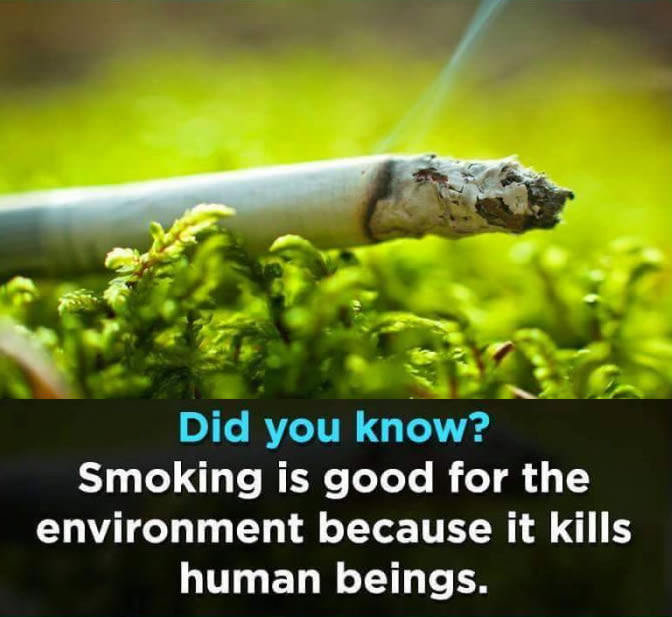 Interesting fact
