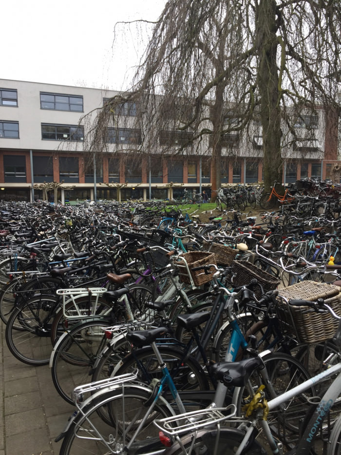 Just a normal day at a dutch school