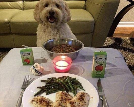 Me when my boyfriend bails on me but I was still in the mood to have a nice dinner