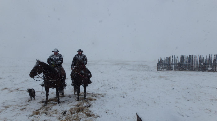 My dad and his friend out tagging calves in the snow, looking like something out of an old Western.