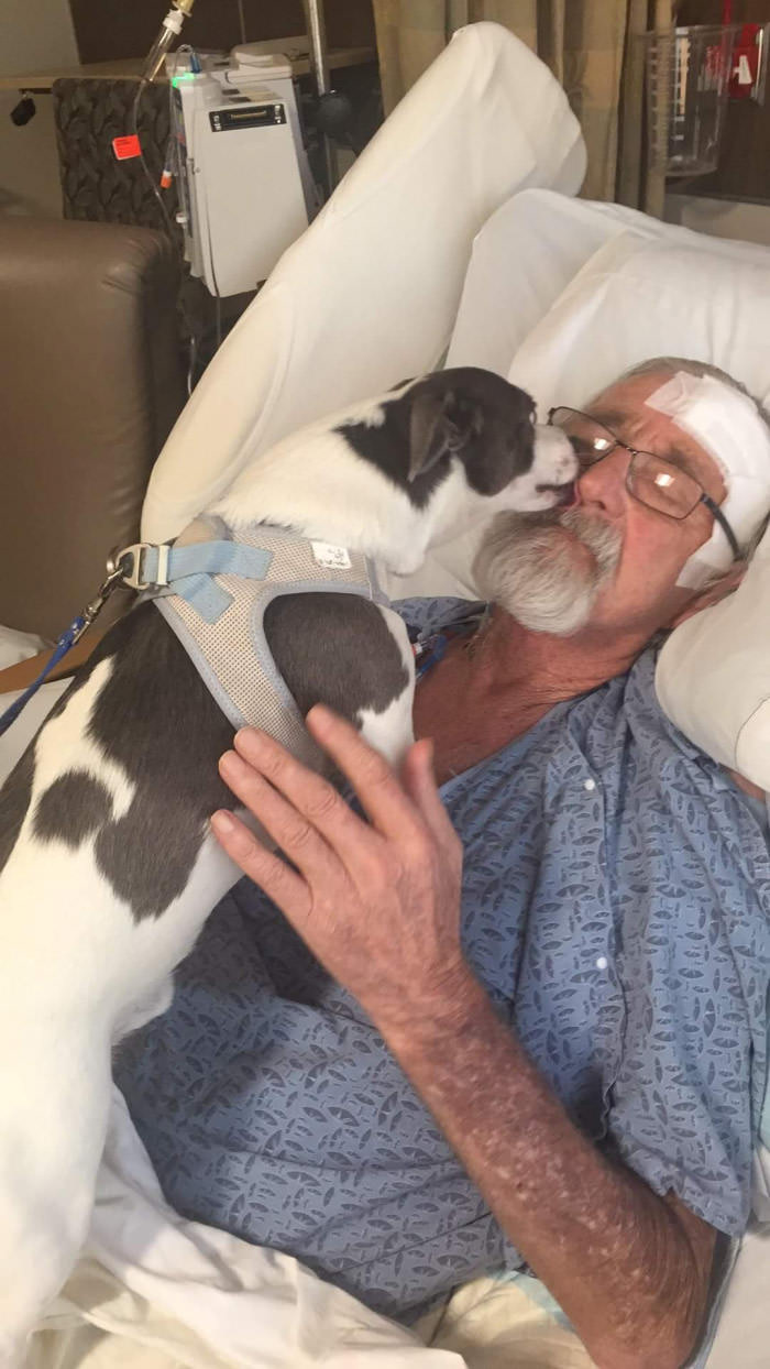 My grandpa is recovering from a brain aneurysm and one of the first things he asked was to see his dog.