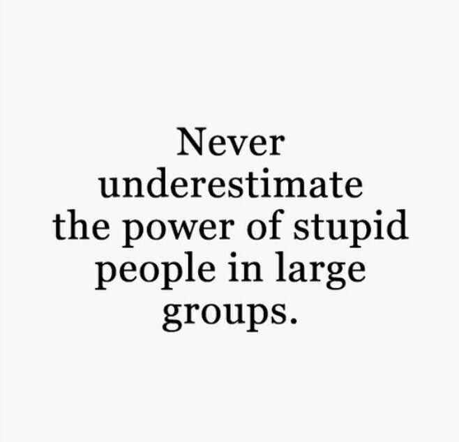 Never underestimate the power of stupid people in large groups