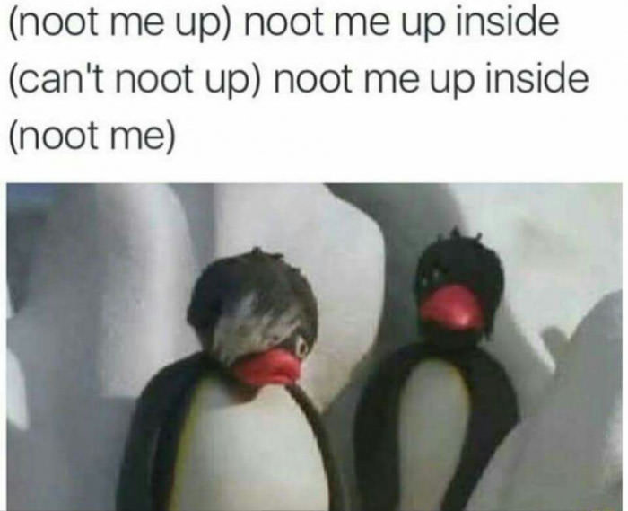 Noot XD