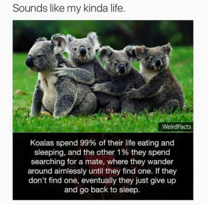 That&#039;s my life.