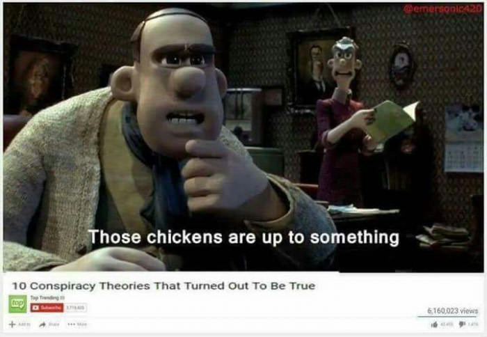 Those chickens are up to something