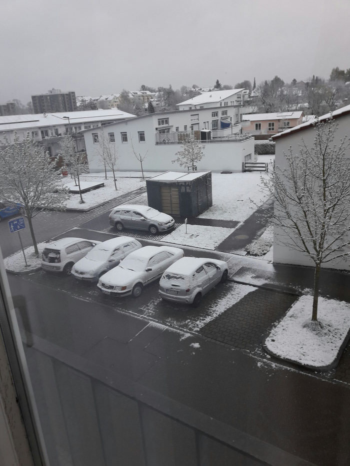 Today in the morning (Germany, Bavaria)... I hate it