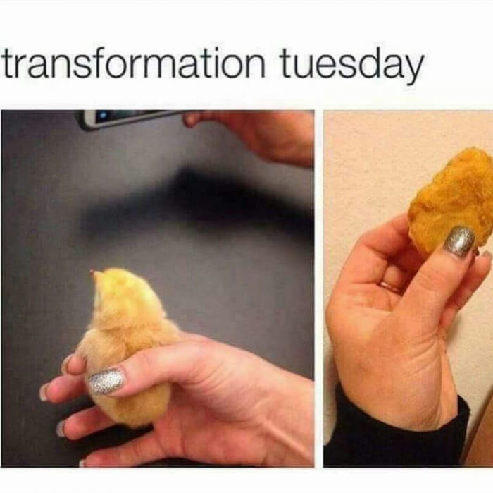 Transformation Time