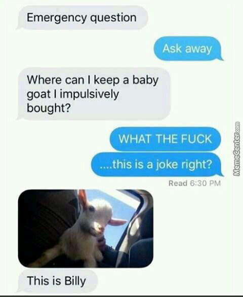 We all have that one impulsive friend...