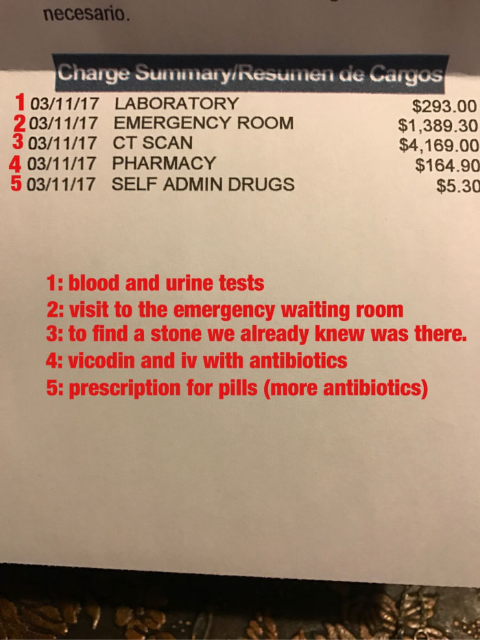 Went to the emergency room recently for a very small but very painful kidney stone. I live in the US