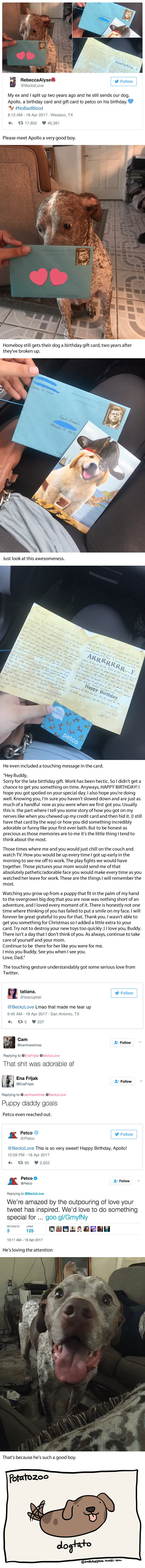 Woman&#039;s Ex Still Sends Loving Birthday Cards To Their Dog Every Year