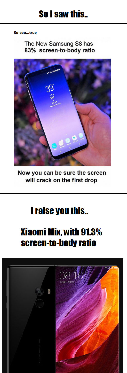 Xiaomi Mix everyone..